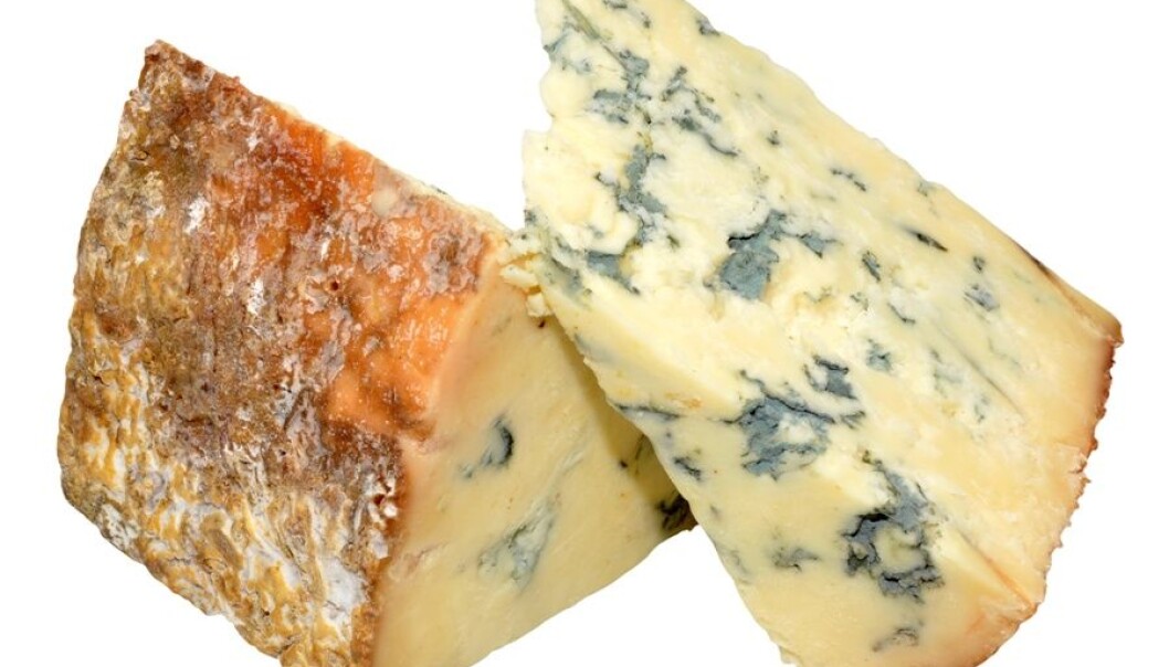 Mugg er ekkelt for de fleste. Allikevel liker mange smaken av muggost. (Foto: Microstock) Mugg er ekkelt for de fleste. Allikevel liker mange smaken av muggost. (Foto: Microstock)