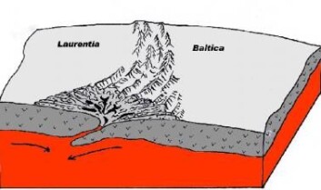 Illustrasjonen viser hvordan kontinentene Laurentia og Baltika kolliderte og skapte kaledonidene. (Foto: (Illustrasjon: Steinkjer kommune)) Illustrasjonen viser hvordan kontinentene Laurentia og Baltika kolliderte og skapte kaledonidene. (Foto: (Illustrasjon: Steinkjer kommune))