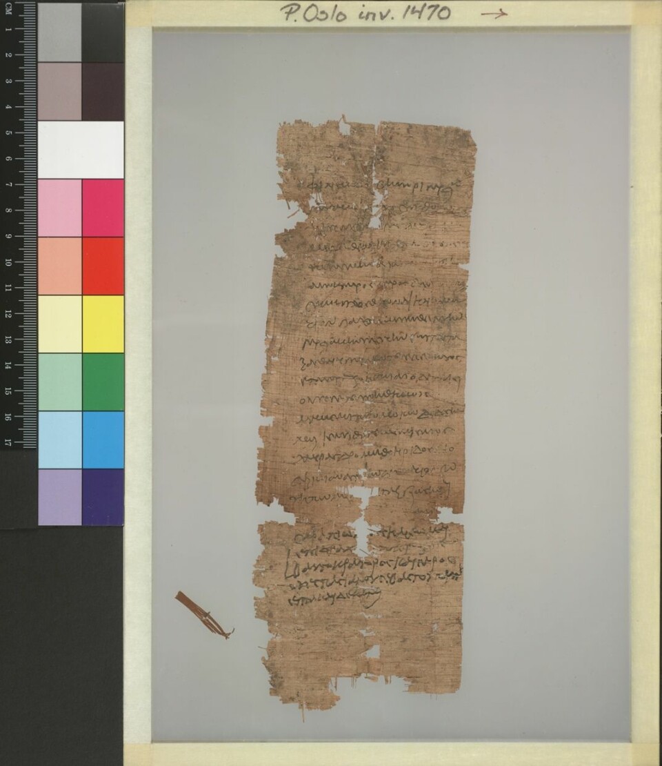 En far, Ofelas, ber om at hans mindreårige sønn, Pakhois, blir registert som lærling i veveindustrien. Dokumentet er datert 11. juni år 70 e.Kr.  (Foto: Papyrussamlingen, Universitetsbiblioteket i Oslo)