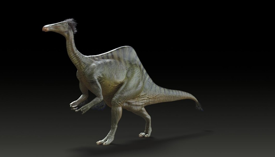 Rekonstruksjon av Deinocheirus mirificus. (Bilde: Yuong-Nam Lee (KIGAM)) Rekonstruksjon av Deinocheirus mirificus. (Bilde: Yuong-Nam Lee (KIGAM))