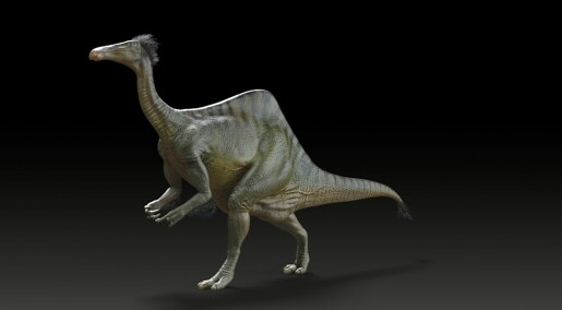 Dinosaurens armer ble oppdaget for 50 år siden, nå er resten funnet