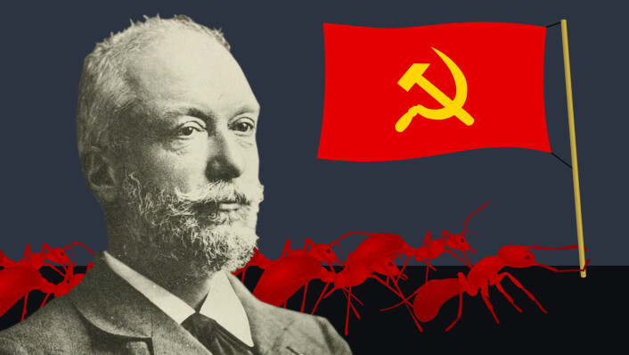 Maursamfunn har ofte blitt sammenlignet med menneskesamfunn. Maurforskeren Auguste Forel beskrev for eksempel i storverket Maurenes sosiale verden hvordan maurene delte maten, og han så på dem som gode sosialister. (Foto: (Illustrasjon: Wikimedia Commons/Arnfinn Christensen, forskning.no)) Maursamfunn har ofte blitt sammenlignet med menneskesamfunn. Maurforskeren Auguste Forel beskrev for eksempel i storverket Maurenes sosiale verden hvordan maurene delte maten, og han så på dem som gode sosialister. (Foto: (Illustrasjon: Wikimedia Commons/Arnfinn Christensen, forskning.no))