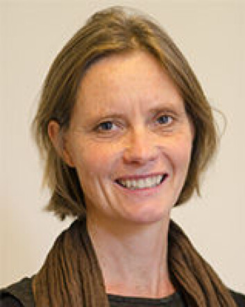 Anna Hagen Tønder, sivilingeniør og forskningskoordinator i Fafo. (Foto: Fafo) Anna Hagen Tønder, sivilingeniør og forskningskoordinator i Fafo. (Foto: Fafo)
