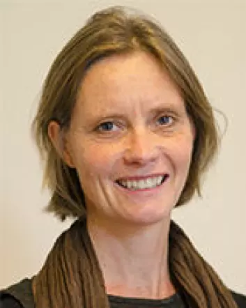 Anna Hagen Tønder, sivilingeniør og forskningskoordinator i Fafo. (Foto: Fafo)