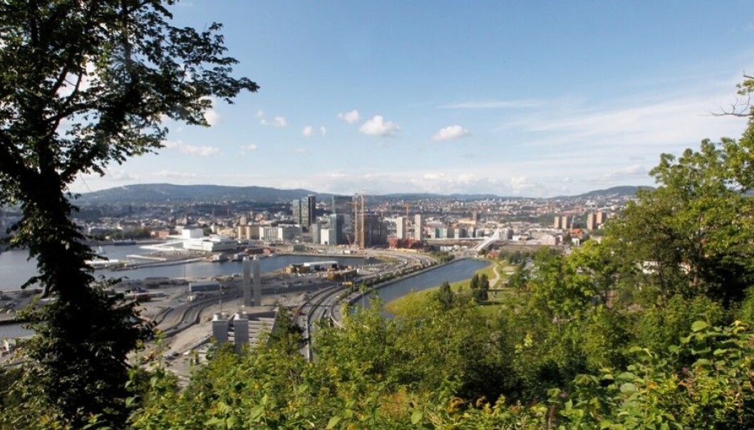Hvordan unngår vi å utrydde sårbare arter og naturtyper? spør kronikkforfatteren. Her fra Ekebergskrenten i Oslo, som er et av de stedene i Oslo med mest biologisk mangfold. (Foto: Morten Holm / Scanpix) Hvordan unngår vi å utrydde sårbare arter og naturtyper? spør kronikkforfatteren. Her fra Ekebergskrenten i Oslo, som er et av de stedene i Oslo med mest biologisk mangfold. (Foto: Morten Holm / Scanpix)