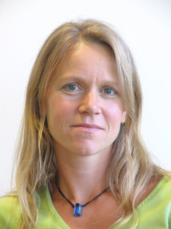 - Reklame er ofte en interessekonflikt mellom forbruker og markedsfører, sier forsker Ardis Storm-Mathisen i SIFO. (Foto: SIFO) - Reklame er ofte en interessekonflikt mellom forbruker og markedsfører, sier forsker Ardis Storm-Mathisen i SIFO. (Foto: SIFO)