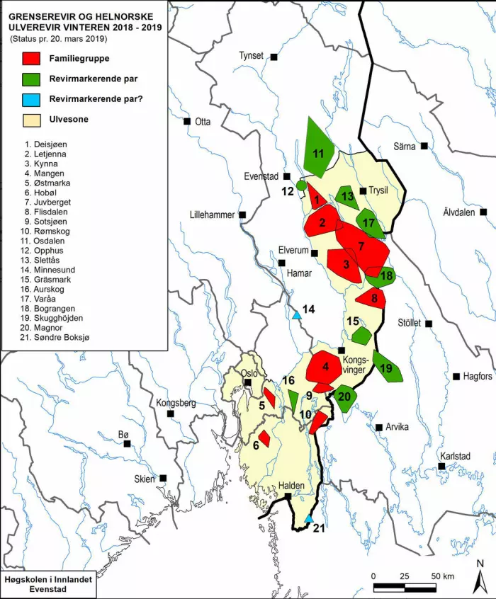 Kartet viser den offisielle ulvesonen (gult) og kartlagte ulverevirer i Norge og langs grensen mot Sverige sist vinter. Revirgrensene er minimumsgrenser. Ulven beveger seg altså utenfor disse områdene. (Data og illustrasjon: Høgskolen i Innlandet/rovdata.no)