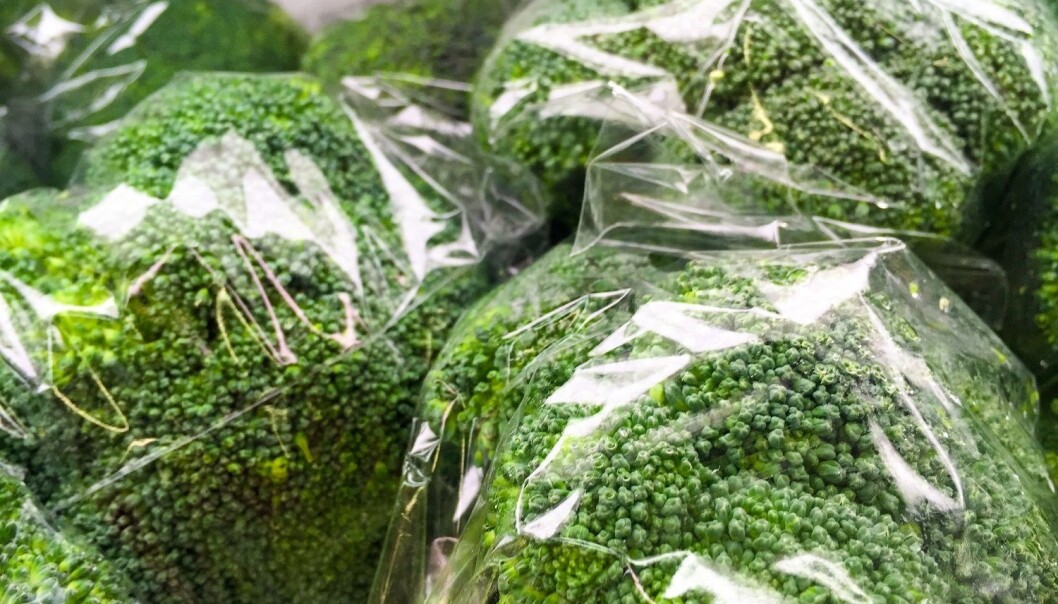 Tester fra Nofima viser at broccoli holder seg bra en uke lenger når den er pakket inn i plastfilm. (Illustrasjon: walailuk koychai / Shutterstock / NTB scanpix) Tester fra Nofima viser at broccoli holder seg bra en uke lenger når den er pakket inn i plastfilm. (Illustrasjon: walailuk koychai / Shutterstock / NTB scanpix)