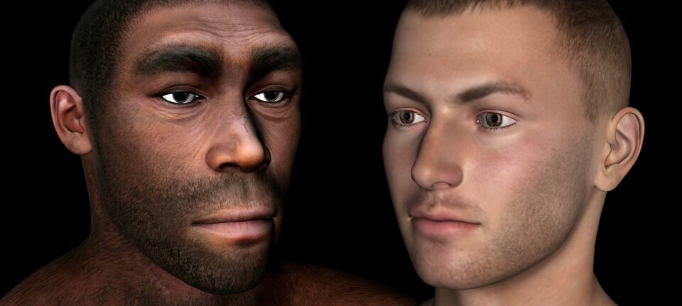 Har vi i det hele tatt dekke beviser for at mennesket nedstammer fra apene?  (Foto: Microstock)