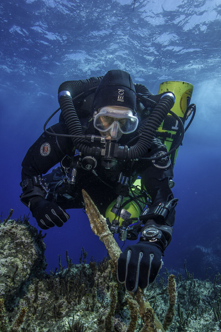 Bronsespydet som ble funnet ved vraket. (Foto: Brett Seymour, Copyright: Return to Antikythera 2014) Bronsespydet som ble funnet ved vraket. (Foto: Brett Seymour, Copyright: Return to Antikythera 2014)