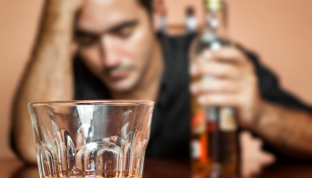 Alkoholisme koblet til manglende tarm- bakterier