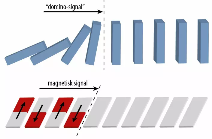 Idéen er å plassere ørsmå nanomagneter så tett på hverandre at disse kan snakke sammen gjennom sine magnetiske felt. Ved at retningen på spinnene i en magnet får spinnene i nabomagneten til å snu, som igjen får dennes nabo til å snu sine spinn, kan et magnetisk signal bevege seg som en kaskade.  (Foto: (Illustrasjon: NTNU))