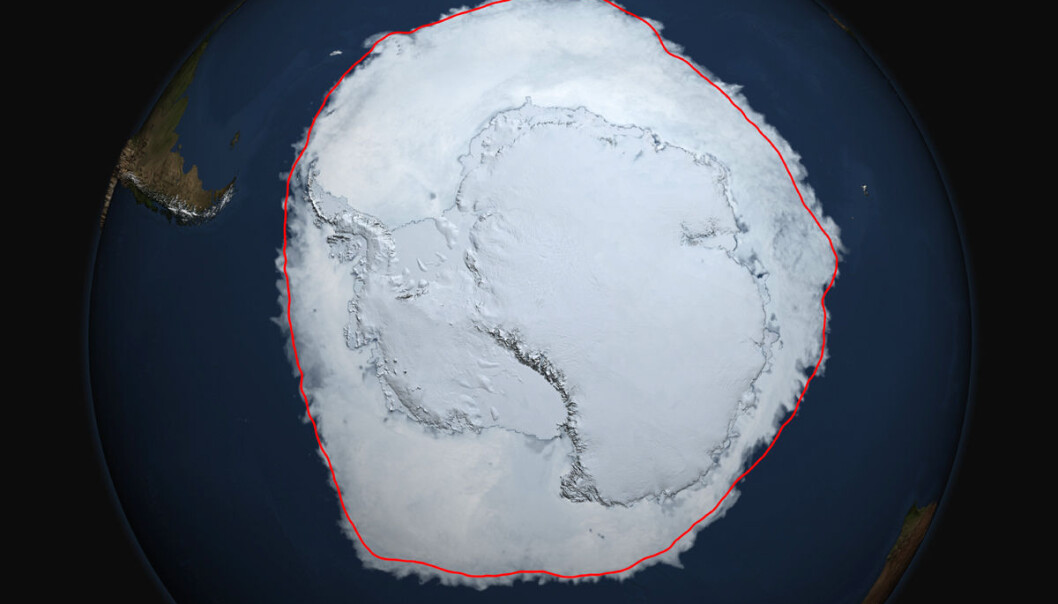 Den 19. september i år hadde isen i Antarktis rekordstor utstrekning. Den røde linja viser gjennomsnittlig utstrekning fra da målingene startet i 1979 og fram til 2014. (Bilde: NASA's Scientific Visualization Studio/Cindy Starr) Den 19. september i år hadde isen i Antarktis rekordstor utstrekning. Den røde linja viser gjennomsnittlig utstrekning fra da målingene startet i 1979 og fram til 2014. (Bilde: NASA's Scientific Visualization Studio/Cindy Starr)