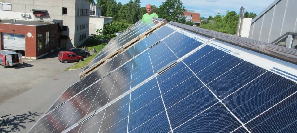 Forsker Espen Olsen ved solcelleanlegget ved NMBU. (Foto: Frøydis Kvaløy)