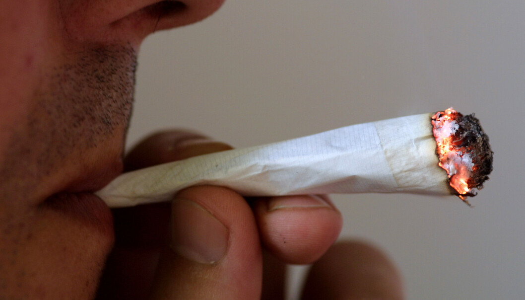 Flere studier har trukket fram en klar sammenheng mellom cannabisbruk over lengre tid og psykotiske episoder og schizofreni. (foto: Colourbox) Flere studier har trukket fram en klar sammenheng mellom cannabisbruk over lengre tid og psykotiske episoder og schizofreni. (foto: Colourbox)