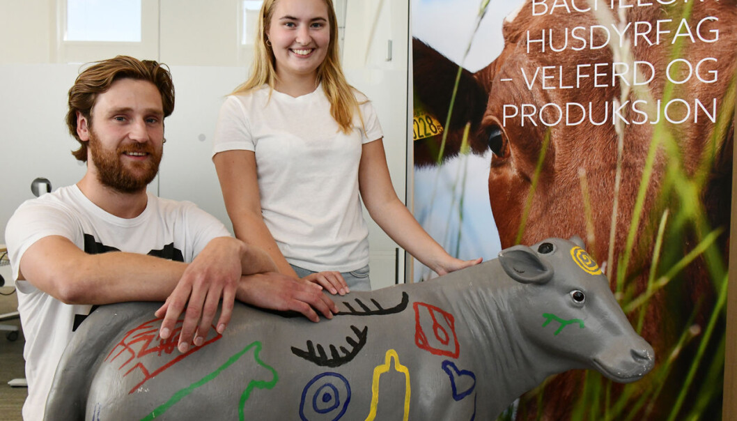 Grønt lys for grønn satsing: Nord universitet styrker sin satsing på grønn vekst. Det setter husdyrfagstudentene Sigurd Andre Madsen og Kamilla Milje stor pris på. (Foto: Morten Stene) Grønt lys for grønn satsing: Nord universitet styrker sin satsing på grønn vekst. Det setter husdyrfagstudentene Sigurd Andre Madsen og Kamilla Milje stor pris på. (Foto: Morten Stene)