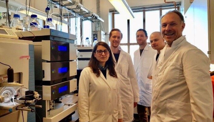 Sabina Leanti La Rosa, Magnus Ø Arntzen, Phil Pope, Leszek Michalak, og Bjørge Westereng i analyselaboratoriet ved Kjemi, bioteknologi og matvitenskap på NMBU i laboratoriet hvor de har framstilt karbohydratene mannan fra trær. (Foto: NTNU) Sabina Leanti La Rosa, Magnus Ø Arntzen, Phil Pope, Leszek Michalak, og Bjørge Westereng i analyselaboratoriet ved Kjemi, bioteknologi og matvitenskap på NMBU i laboratoriet hvor de har framstilt karbohydratene mannan fra trær. (Foto: NTNU)