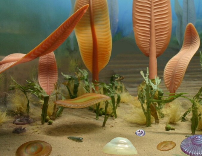 Slik ser en forsker for seg et sjømiljø i perioden Ediacara (Illustrasjon: Wikimedia commons) Slik ser en forsker for seg et sjømiljø i perioden Ediacara (Illustrasjon: Wikimedia commons)