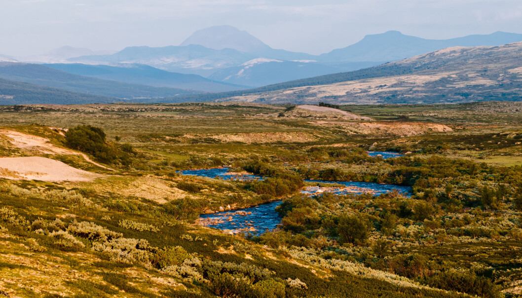 Et sted å fiske, se villrein eller få være helt for seg selv: Hvordan kommer nordmenn til å bruke fjellheimen i fremtiden? (Illustrasjon: Kurkul / Shutterstock / NTB scanpix) Et sted å fiske, se villrein eller få være helt for seg selv: Hvordan kommer nordmenn til å bruke fjellheimen i fremtiden? (Illustrasjon: Kurkul / Shutterstock / NTB scanpix)