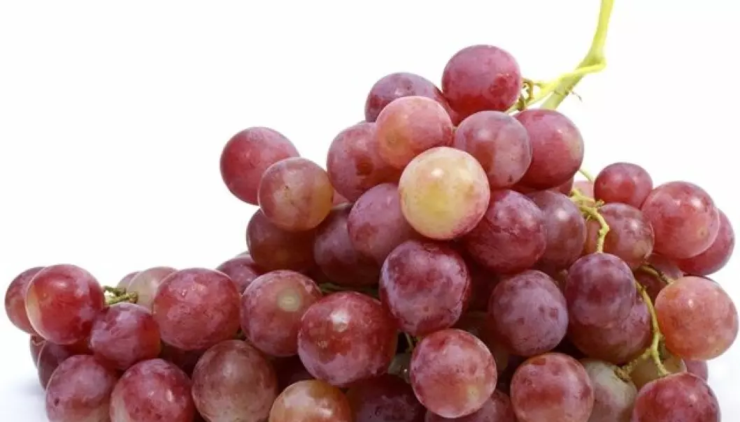 Et stoff i druer kan føre til bedre legemidler mot uren hud.  (Foto: Colourbox)