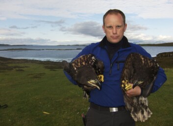 Forsker Espen Lie Dahl har vokst opp på Smøla og kjenner nær sagt hver eneste ørnerede på øya. Som forsker har han samlet inn DNA-profiler fra havørn helt siden 2006. (Foto: Espen Lie Dahl, NTNU) Forsker Espen Lie Dahl har vokst opp på Smøla og kjenner nær sagt hver eneste ørnerede på øya. Som forsker har han samlet inn DNA-profiler fra havørn helt siden 2006. (Foto: Espen Lie Dahl, NTNU)