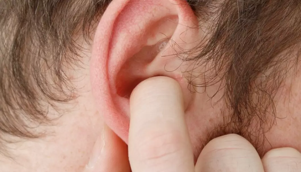 Lavfrekvente lyder gir forandringer i øret, og risiko for permanente skader, mener tyske forskere.  (Foto: Colorbox)