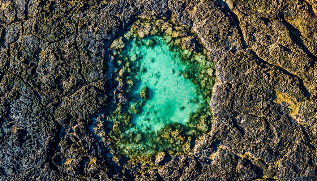 Darwin tenkte at lys, varme og elektrisitet kanskje dannet de første proteinene i en dam, et sted på den unge jordkloden. (Bilde: simona pilolla 2/ Shutterstock/ NTB scanpix) Darwin tenkte at lys, varme og elektrisitet kanskje dannet de første proteinene i en dam, et sted på den unge jordkloden. (Bilde: simona pilolla 2/ Shutterstock/ NTB scanpix)