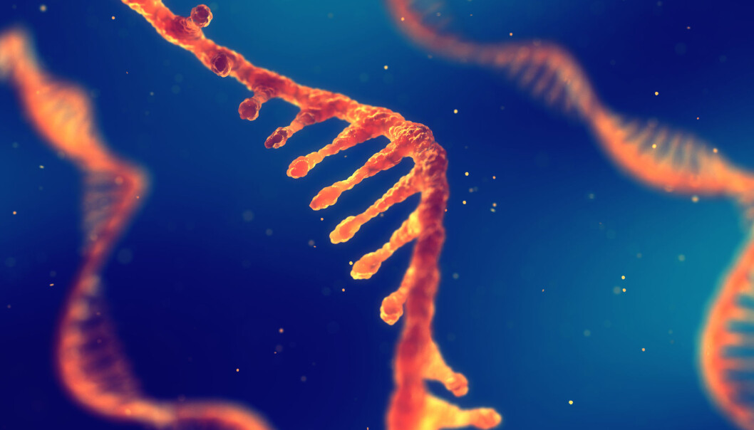 Var det første livet RNA-tråder som kopierte seg selv? (Illustrasjon: nobeastsofierce / Shutterstock / NTB scanpix) Var det første livet RNA-tråder som kopierte seg selv? (Illustrasjon: nobeastsofierce / Shutterstock / NTB scanpix)