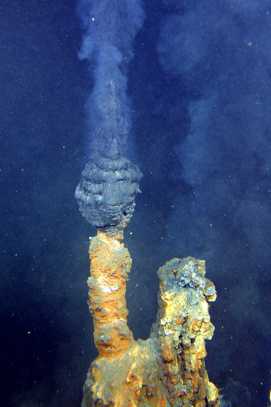 Rundt hydrotermiske skorsteiner er det funnet rike økosystemer. (Foto: Wikimedia commons)