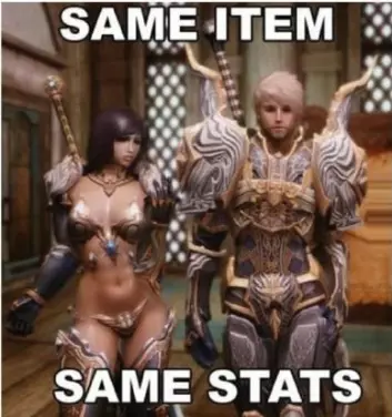 Ekstremt kjønnsstereotype spillfigurer er hverdagsmat i onlinespillene. Teksten «Same item - same stats» viser til at rustningen til figurene har samme effekt, til tross for at de her helt forskjellig utformet.