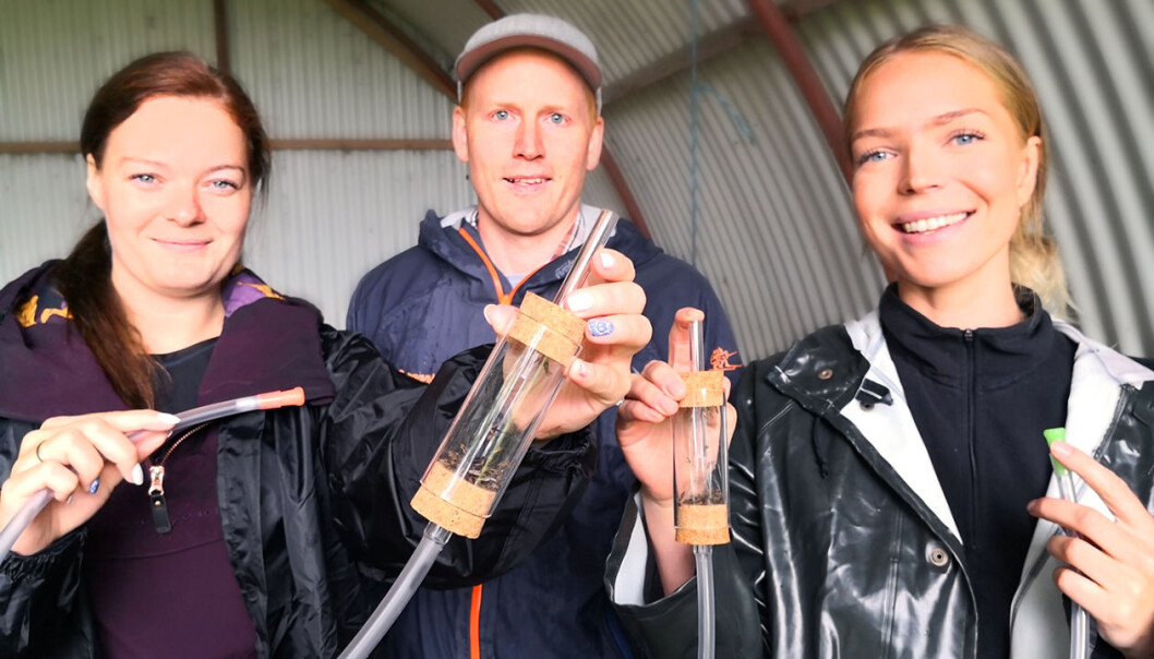 Fant malariamygg på Tautra: Studentene Mona Olsen Ryum (til venstre), forsker Sondre Dahle fra NINA og student Maja Fasting. (Foto: Borgar Sagbakken, NRK) Fant malariamygg på Tautra: Studentene Mona Olsen Ryum (til venstre), forsker Sondre Dahle fra NINA og student Maja Fasting. (Foto: Borgar Sagbakken, NRK)