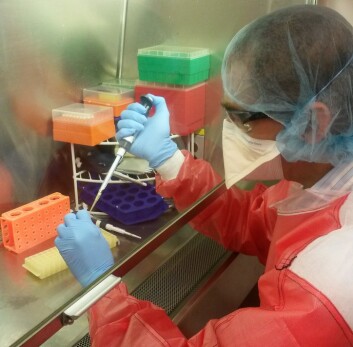Når han går inn i laboratoriet må han ta på seg heldekkende frakk som avviser bakterier, tett maske, skotrekk og hårnett. – De mest farlige bakteriene jobber vi med i biosikkerhetslaboratorium klasse tre, og da må vi bruke personlig sikkerhetsutstyr som på dette bildet, forklarer Egil Lien, professor i medisin ved forskningssenteret CEMIR ved NTNU. (Foto: NTNU) Når han går inn i laboratoriet må han ta på seg heldekkende frakk som avviser bakterier, tett maske, skotrekk og hårnett. – De mest farlige bakteriene jobber vi med i biosikkerhetslaboratorium klasse tre, og da må vi bruke personlig sikkerhetsutstyr som på dette bildet, forklarer Egil Lien, professor i medisin ved forskningssenteret CEMIR ved NTNU. (Foto: NTNU)