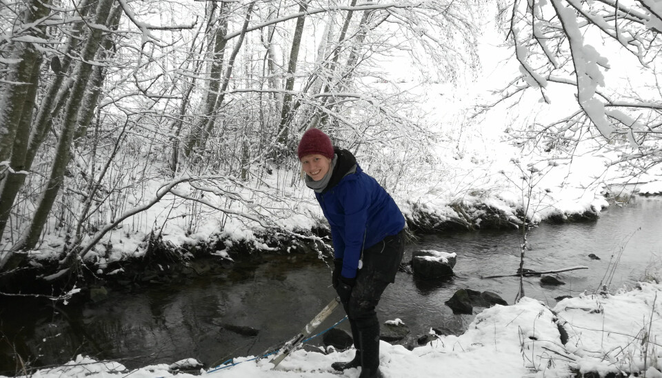 Bilde fra sist vinter der ph.d.-stipendiat Hannah Wenng sjekker apparatet som måler partikler i vannet i Skuterudbekken i Akershus. (Foto: Joris Stuurop)