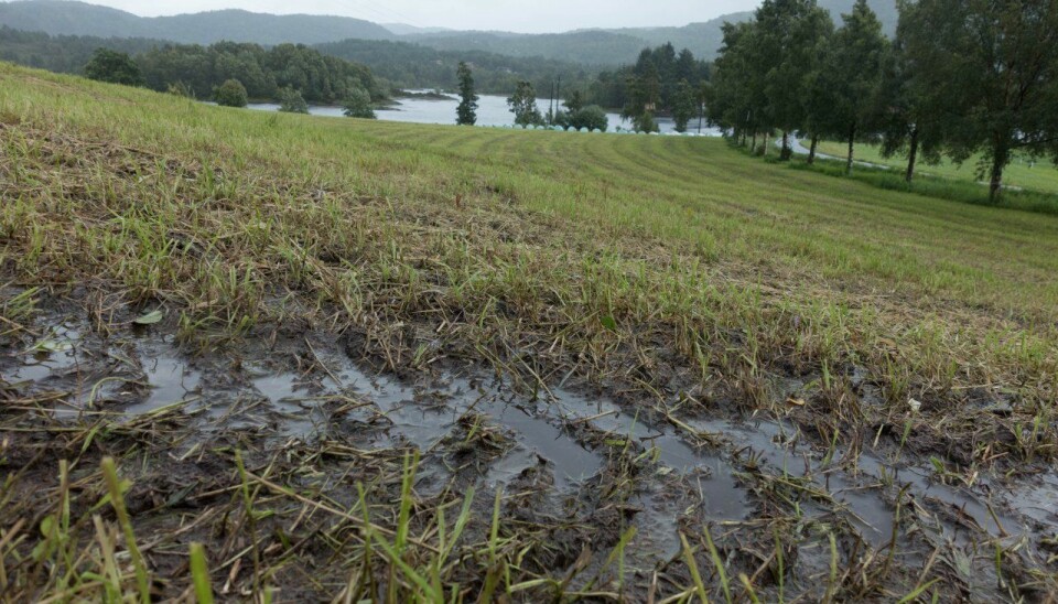Våte jorder som følge av uvanlig mye nedbør skaper utfordringer for jordbruket. (Illustrasjonsfoto: Anette Tjomsland, NIBIO)