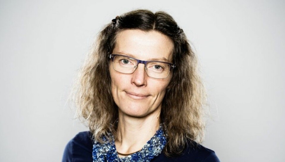 Vi må følge med på insekter i Norge også, mener Anne Sverdrup-Thygeson. (Foto: NMBU)