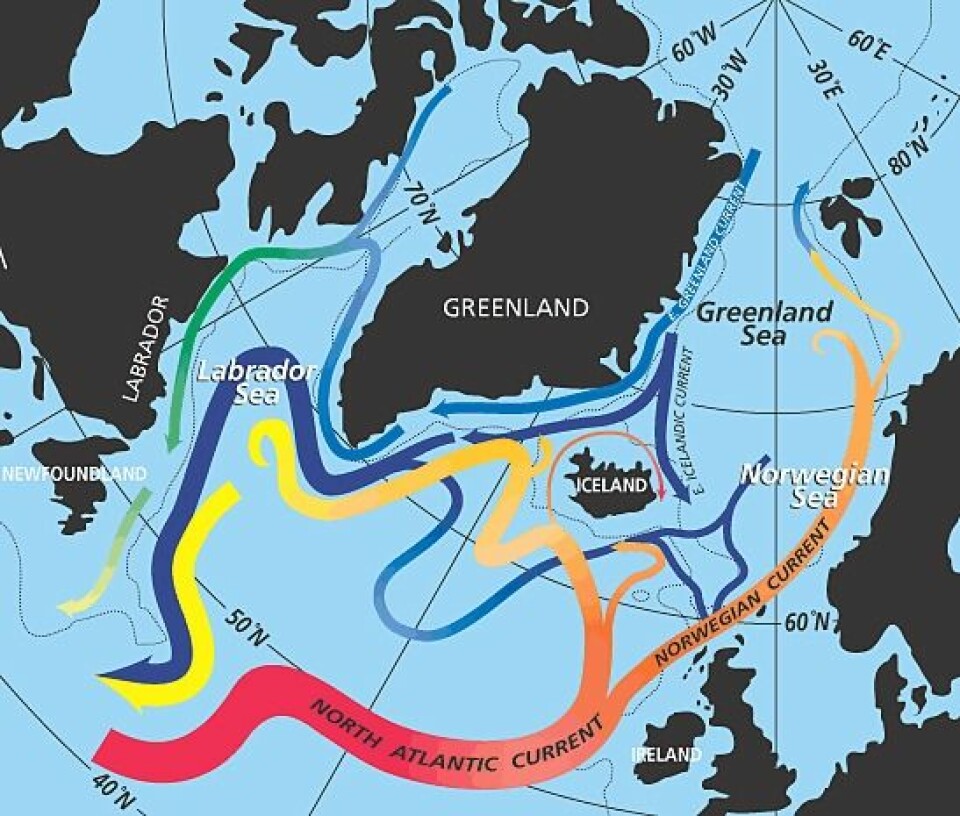 Den nordatlantiske havstrømmen, bedre kjent som Golfstrømmen, er delvis ansvarlig for de milde nordeuropeiske vintrene. Den strømmer inn i de nordiske hav, hvor den kjøles ned om vinteren og slipper ut varme til atmosfæren. (Foto: (Illustrasjon: NASA/Wikimedia Commons))