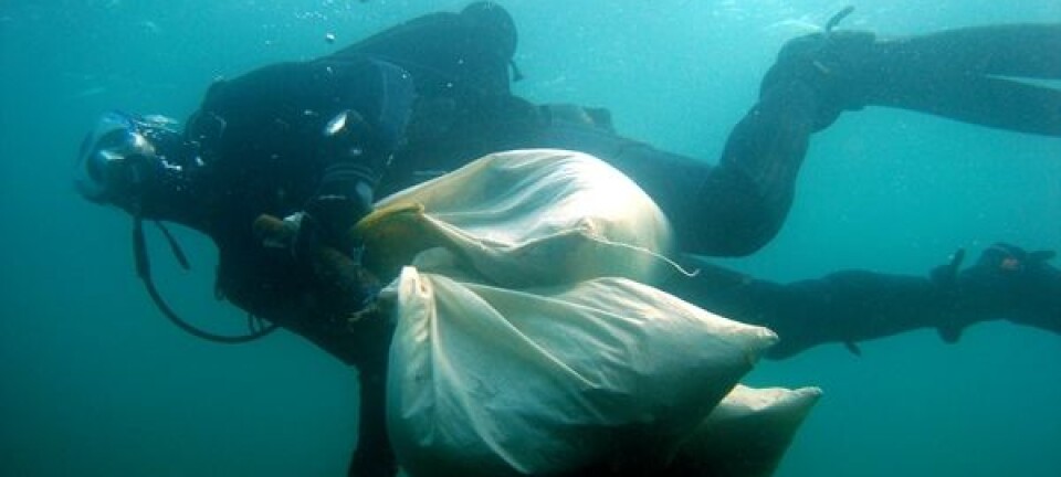 Og inn kommer jokeren.....Rikets sikkerhet