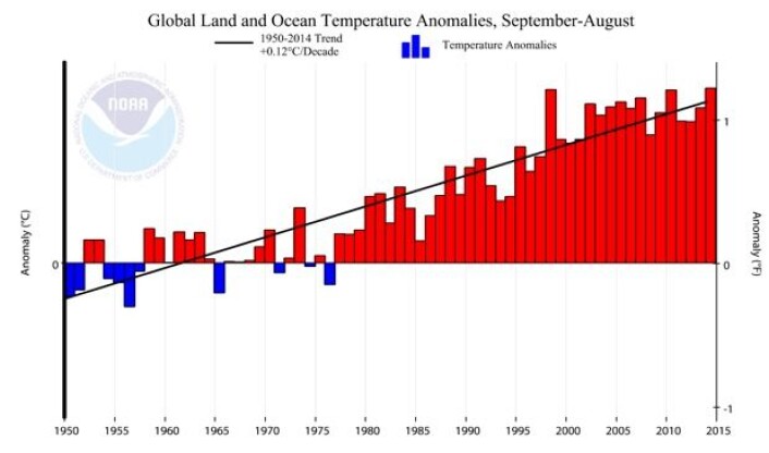 Trenden i global temperatur siden 1950 er 0,12 grader pr tiår. (Figur: NOAA) Trenden i global temperatur siden 1950 er 0,12 grader pr tiår. (Figur: NOAA)