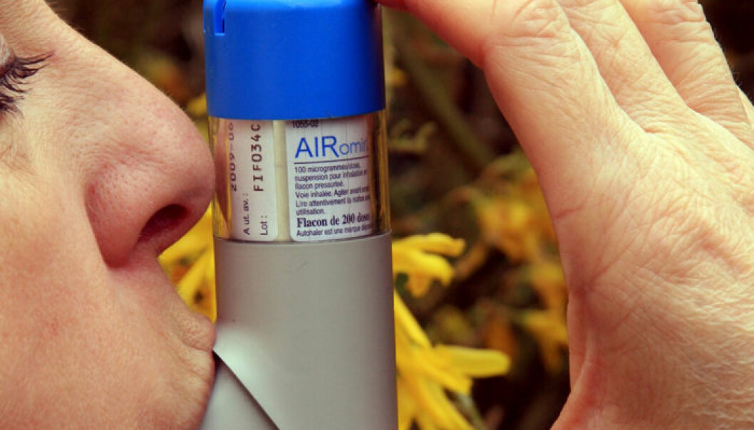 Folat kan øke risikoen for astma