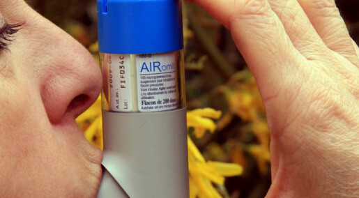 Folat kan øke risikoen for astma