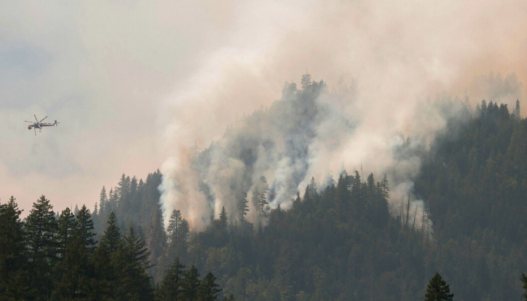 Brann i Yosemite National Park i California, 14 september 2014. (Foto: Reuters) Brann i Yosemite National Park i California, 14 september 2014. (Foto: Reuters)