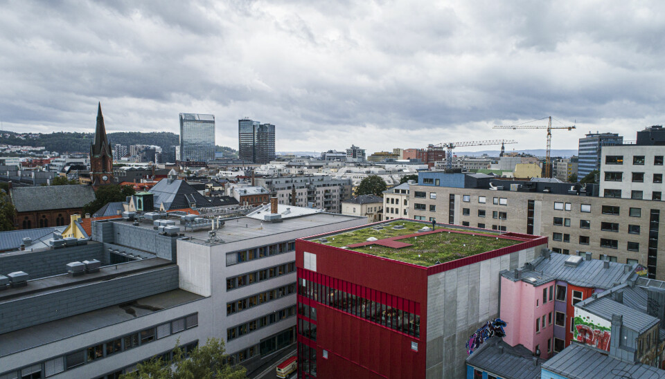 Forskere har sammen med flere industripartnere har gjenskapt et grunnlendt kalkmarksystem på taket til Vega Scene i Oslo. (Dronefoto: Asplan Viak ved Jostein Thorvaldsen)