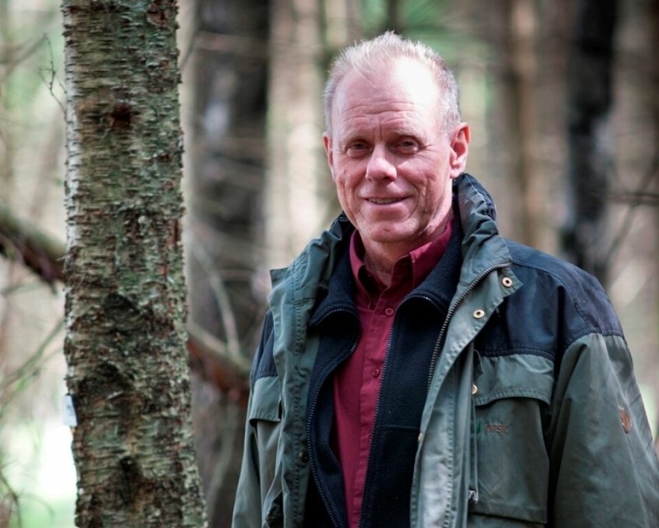 Skogforsker Kjell Andreassen. (Foto: Lars Sandved Dalen)