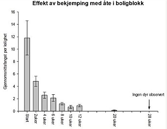 Bestanden av skjeggkre falt raskt etter at giftig åte ble satt ut, viser studie fra Folkehelseinstituttet. (Ill: FHI) Bestanden av skjeggkre falt raskt etter at giftig åte ble satt ut, viser studie fra Folkehelseinstituttet. (Ill: FHI)