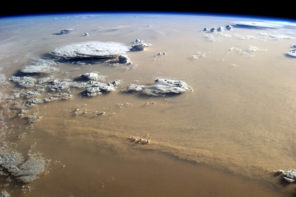 En sandstorm i Sahara fotografert av ESAs tyske astronaut, Alexander Gerst, fra den internasjonale romstasjonen, 400 kilometer over bakken. (Foto: NASA/ESA)