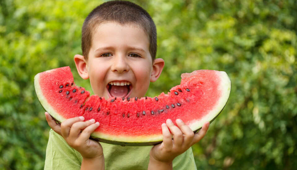 Nøkkelen til å løse fremtidens fedmeepidemi ligger i å råde barn til å spise mer grønnsaker og frukt, mente en av foredragsholderne. (Foto: Microstock)