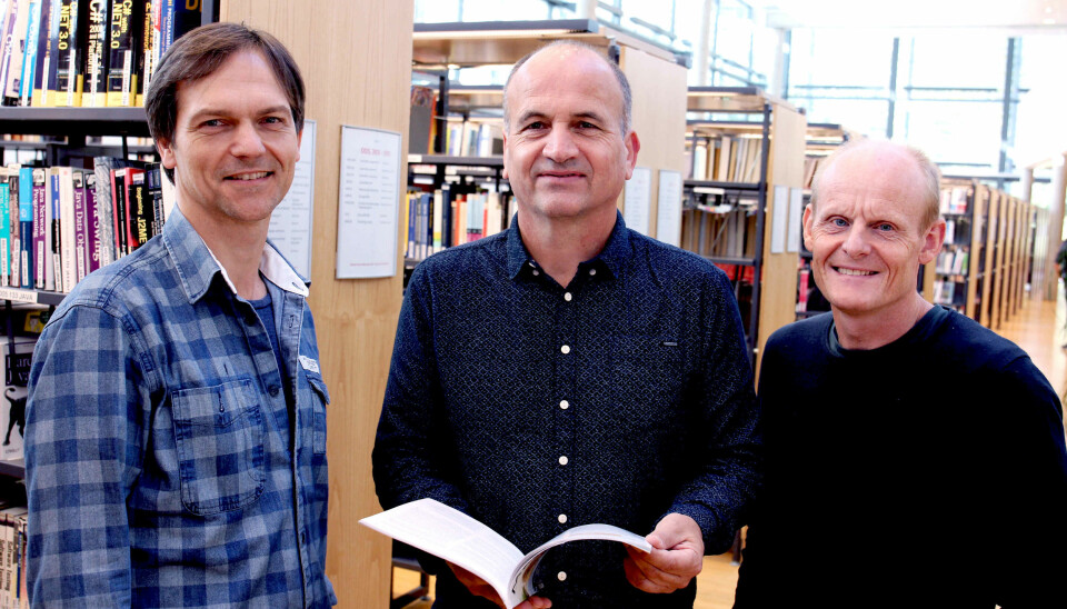 Forskerne, fra venstre: Are Branstad, Ansgar Ødegård, Jon Reiersen. (Foto: USN)