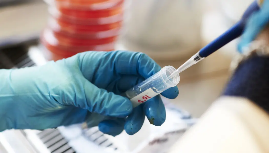 Behandlingen er rettet mot pasienter med den arvelig genfeilen BRCA-mutasjon, med høy risiko for å utvikle blant annet eggstokkreft og kreft i yngre alder. Disse pasientene har en gjennomsnittsalder på 52 år. (Illustrasjonsfoto: Kent Skibstad / NTB scanpix) Behandlingen er rettet mot pasienter med den arvelig genfeilen BRCA-mutasjon, med høy risiko for å utvikle blant annet eggstokkreft og kreft i yngre alder. Disse pasientene har en gjennomsnittsalder på 52 år. (Illustrasjonsfoto: Kent Skibstad / NTB scanpix)