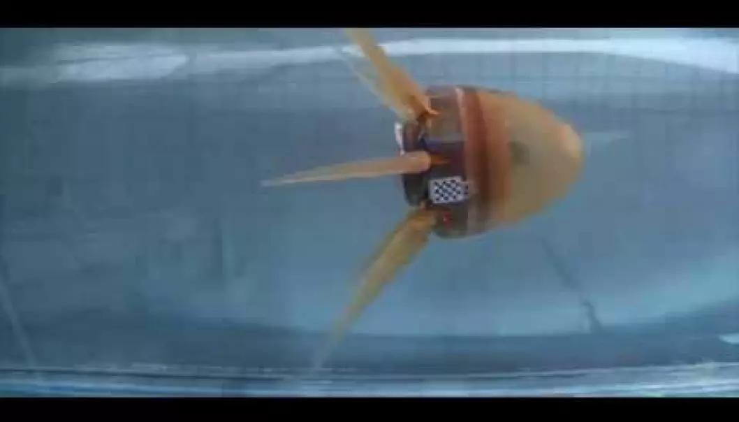 Robot svømmer som en blekksprut
