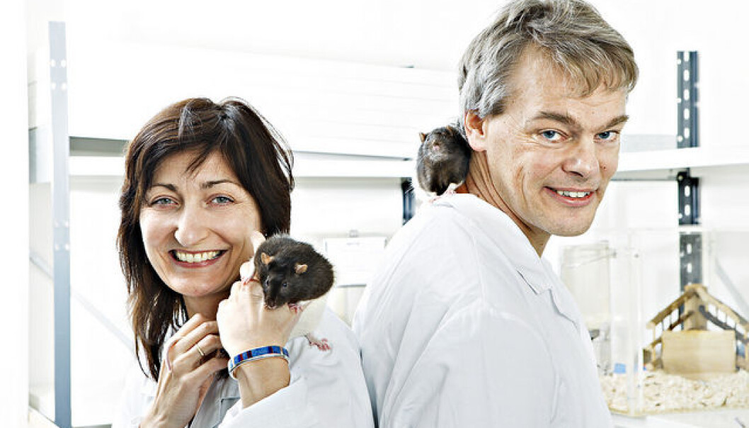 Ekteparet May-Britt og Edvard Moser er blant de norske forskerne som publiserer flest artikler i Nature og Science. De mener Norge trenger en mentorordning, der yngre forskere kan få snakke med eldre forskere. (Foto: Stein J. Bjørge, Scanpix) Ekteparet May-Britt og Edvard Moser er blant de norske forskerne som publiserer flest artikler i Nature og Science. De mener Norge trenger en mentorordning, der yngre forskere kan få snakke med eldre forskere. (Foto: Stein J. Bjørge, Scanpix)